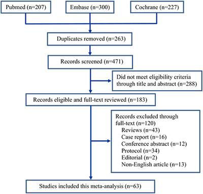 The Effect of Dexmedetomidine on Emergence Agitation or Delirium in Children After Anesthesia—A Systematic Review and Meta-Analysis of Clinical Studies